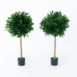 Greenbrokers Artificial Bay Trees (Set Of 2) With Real Wood Trunk, Natural Leaf And Brown Berries 4Ft/120 Cm