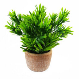 Leaf 22Cm Honey Plant Dark Green In Terracotta Pot - thumbnail 1