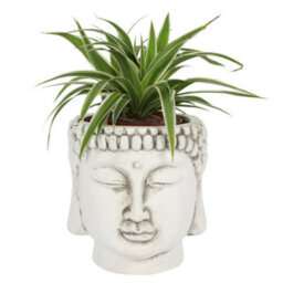 White Terracotta Buddha Head Planter - Zen Garden Decor, 20Cm
