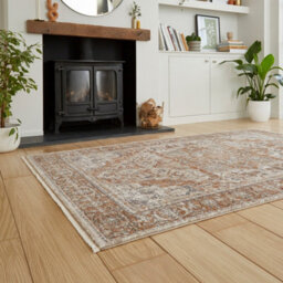 Terracotta Traditional Abstract Bordered 10mm Pile Stain-Resistant Rug For Bedroom, Living, & Dining Room-120Cm X 170Cm - thumbnail 2