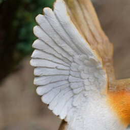 Burgess Winged Robin Resin Statue Home Garden British Bird Sculpture Outdoor Ornament Robins Appear British Gift - thumbnail 4