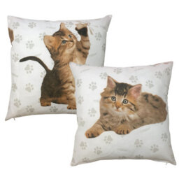 Cute Kittens Malika Pack Of 2 Cushion Covers, Rachael Hale Paw Print Meow Tinka Cats - thumbnail 2