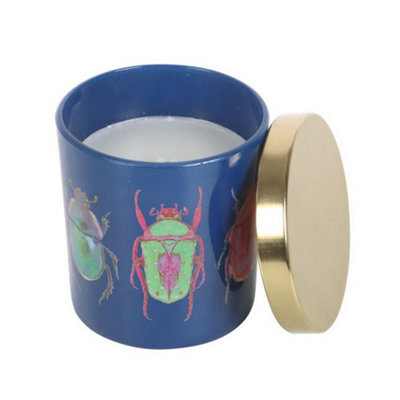 Something Different Amber & Vanilla Beetle Scented Candle Multicoloured (One Size) - image 1