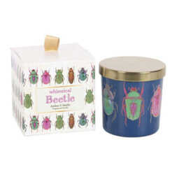 Something Different Amber & Vanilla Beetle Scented Candle Multicoloured (One Size) - thumbnail 2