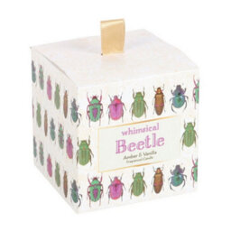 Something Different Amber & Vanilla Beetle Scented Candle Multicoloured (One Size) - thumbnail 3