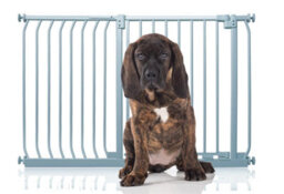 Bettacare Elite Pressure Dog Gate, 125Cm - 134Cm, Matt Grey, Pressure Fit Pet Gate For Dog And Puppy - thumbnail 1