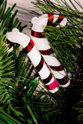 Christmas Tree World 180Cm Decorated Mixed Pine Garland With Red & White Candy Canes - thumbnail 9