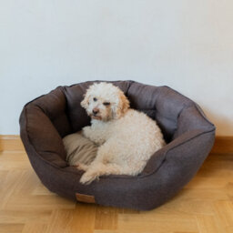 All Pond Solutions Allpetsolutions Alfie Premium Luxury Dog Bed - Chocolate Truffle - thumbnail 1