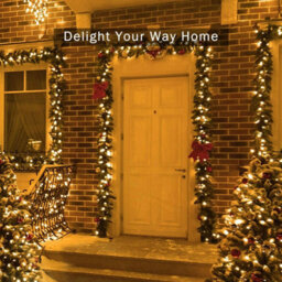 Solar Fairy String Lights Outdoor Garden Christmas Decoration - thumbnail 3