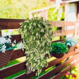 4 Pack Outdoor Wedding Decorations, Artificial Lavender Vine For Wall Hanging, White - thumbnail 4