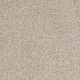Grantham Bleach Cleanable Deep Pile Carpet By Remland (Harston, 2M X 4M) - thumbnail 1
