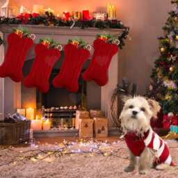 Amorly 3Pcs Large Knitted Pet Christmas Stockings, Bone Style Hanging Sacks For Dogs And Cats, Ideal Fireplace Holiday Decoration - thumbnail 5