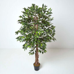 Homescapes Artificial Green Handcrafted Ficus Tree With Twisted Real Wood Trunk, 6 Ft