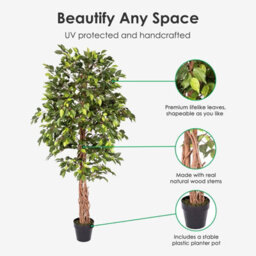Homescapes Artificial Green Handcrafted Ficus Tree With Twisted Real Wood Trunk, 6 Ft - thumbnail 2