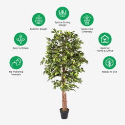 Homescapes Artificial Green Handcrafted Ficus Tree With Twisted Real Wood Trunk, 6 Ft - thumbnail 5