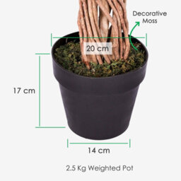 Homescapes Artificial Green Handcrafted Ficus Tree With Twisted Real Wood Trunk, 6 Ft - thumbnail 3