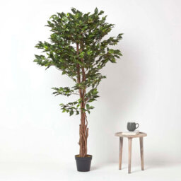 Homescapes Artificial Green Handcrafted Ficus Tree With Twisted Real Wood Trunk, 6 Ft - thumbnail 6