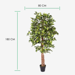 Homescapes Artificial Green Handcrafted Ficus Tree With Twisted Real Wood Trunk, 6 Ft - thumbnail 4