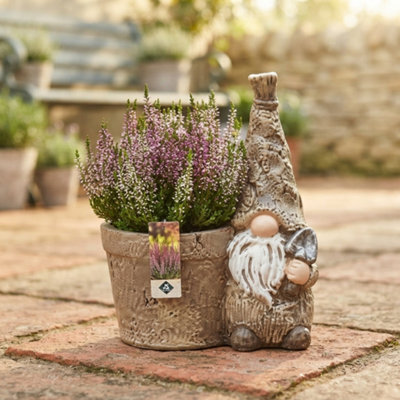 Outdoor Plant Arrangement With Brown Gnome And Basket - 27Cm