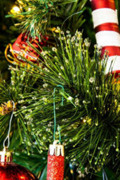 Christmas Tree World The 6Ft/180Cm Pre-Lit Majestic Dew Pine Christmas Tree - thumbnail 9