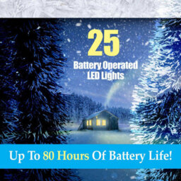 Outdoor Copper Wire Lights(25) - Warm White- Christmas Lights - thumbnail 4
