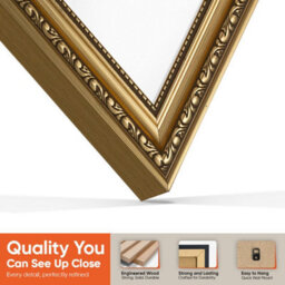 "AK Frames 25X17"" Gold Ornate Vinyl Record Frame With White Mount For 12 Inch Lp Cover & Disc - Overlapped Design" - thumbnail 3