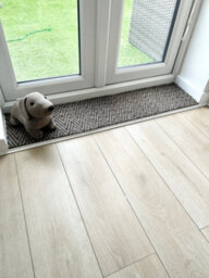Super Magnum & Magnus Entrance Matting By Remland (Chevron Beige & Black, 10M X 2M) - thumbnail 4