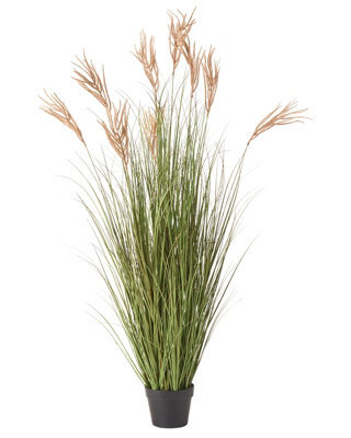 Wyld And Coco Fox Tail Artificial Plant In Black Pot - 150 Cm, Green With Golden Plumes - image 1