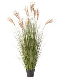 Wyld And Coco Fox Tail Artificial Plant In Black Pot - 150 Cm, Green With Golden Plumes - thumbnail 1