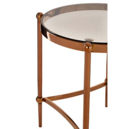 Orsina Elegant Side Table, Durable Side Table By Couch For Livingroom, Stainless Steel Small Lounge Table - thumbnail 3
