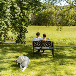 Lazy Susan Jasmine Garden Bench, 2 Seater Bench, Cast Aluminium Bench, 102Cm Wide Metal Bench - thumbnail 6