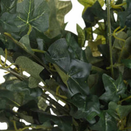 Hill Interiors Uk Homeliving Artificial Ivy Pick - thumbnail 3