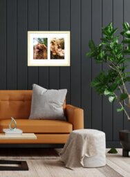 10X8 Inch 2 Opening Photo Collage Frame, Display Two 6X4 Inch Photos, Multi Aperture Family Picture Frame, Gold - thumbnail 3