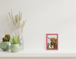 A5 Pink Picture Frame Fits A5 (14.8 X 21Cm - 5.8 X 8.3In) Poster, Photo, Artwork, Or Print. - thumbnail 4