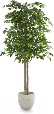 Artificial Plant Ficus Tree, Maia Shop For Home And Office Decoration, 150Cm - image 1
