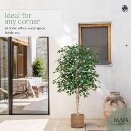 Artificial Plant Ficus Tree, Maia Shop For Home And Office Decoration, 150Cm - thumbnail 6