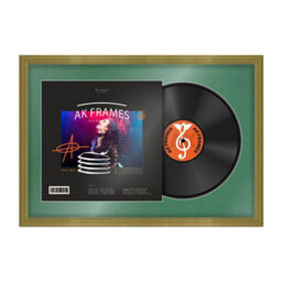 "AK Frames 25X17"" Gold Classic Vinyl Record Frame With Emerald Mount For 12 Inch Lp Cover & Disc - Overlapped Design"