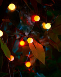 Werchristmas Pastel 80 Autumn Micro Led Berry Lights 6 M - thumbnail 4