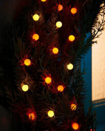 Werchristmas Pastel 80 Autumn Micro Led Berry Lights 6 M - thumbnail 5