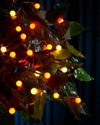 Werchristmas Pastel 80 Autumn Micro Led Berry Lights 6 M - thumbnail 3