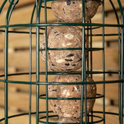 Samuel Alexander Pack Of 12 Wild Bird Fat Ball Feeder With Squirrel Guard - thumbnail 7