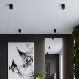 Luminosa Lighting Luminosa Zoe Round Minimalistic Surface Mounted Downlight Black - thumbnail 6