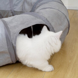 Pawhut 2 In 1 Cat Tunnel With Bed, Cat Play Tunnel For Indoor Cats, Grey - thumbnail 9