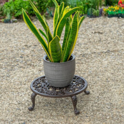 Woodside Round Cast Iron Indoor/outdoor Heavy Duty Garden Plant Pot Stand 11Inch - thumbnail 2