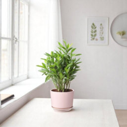Ceramic Cotton Candy Planter With Built In Saucer (H13.5 X W13.5Cm)