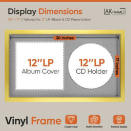 "30X17"" Gold Modern Vinyl Record Frame With Silver Mount For 12 Inch Lp Album Cover & Disc - Ak Frames" - thumbnail 2