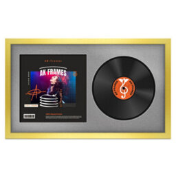 "30X17"" Gold Modern Vinyl Record Frame With Silver Mount For 12 Inch Lp Album Cover & Disc - Ak Frames"