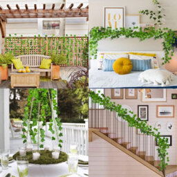 Artificial Ivy Garlands - Set Of 6, 210Cm Length - thumbnail 4