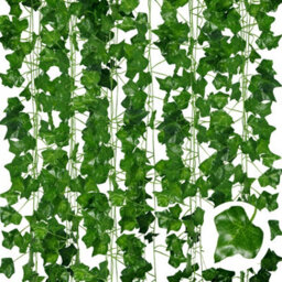 Artificial Ivy Garlands - Set Of 6, 210Cm Length - thumbnail 1
