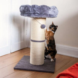 All Pond Solutions All Pet Solutions Large Jumbo Cat Scratching Post With Play Ball 74Cm - thumbnail 4
